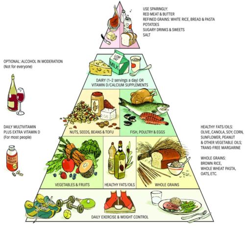Μεσογειακή διατροφή: Η πυραμίδα των τροφών που περιλαμβάνει (γράφημα)